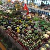2017雲彩之旅